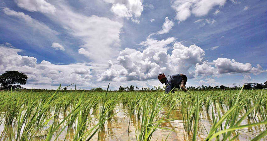 Cyclone Vayu and Groundnut Sowing