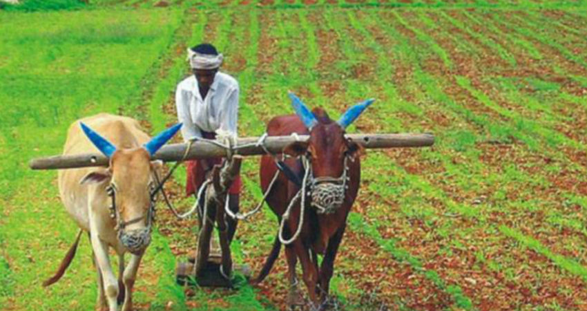 Monsoon and agriculture 