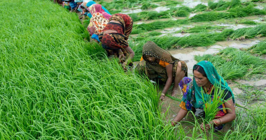 Monsoon in India 2019