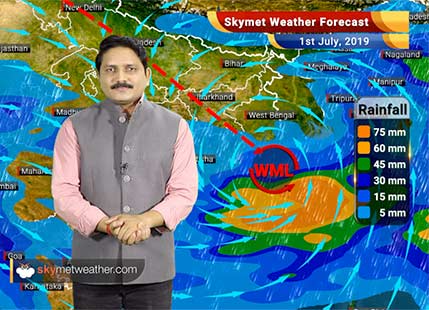 Weather Forecast for July 1: Good monsoon rains will be lashing Odisha, Chhattisgarh, Madhya Pradesh