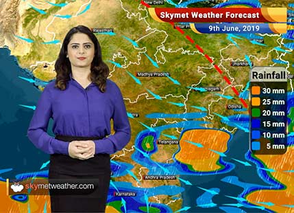 Weather Forecast for June 9: Southwest Monsoon 2019 hits Kerala, Rain in Vidarbha and South Maharashtra