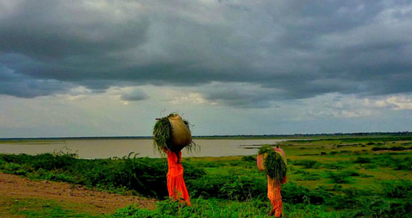 Rain-in-Maharashtra 