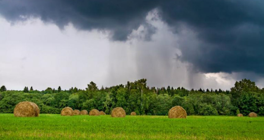 Rain in Telangana 