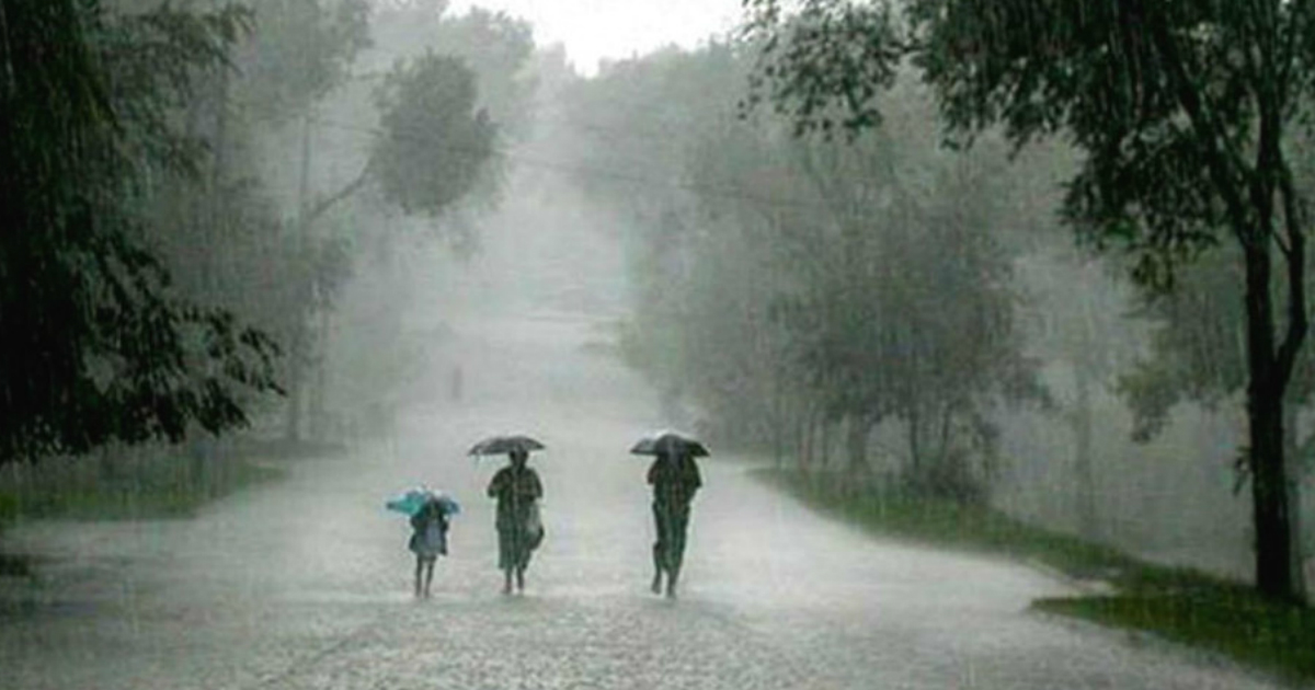 rain in Odisha