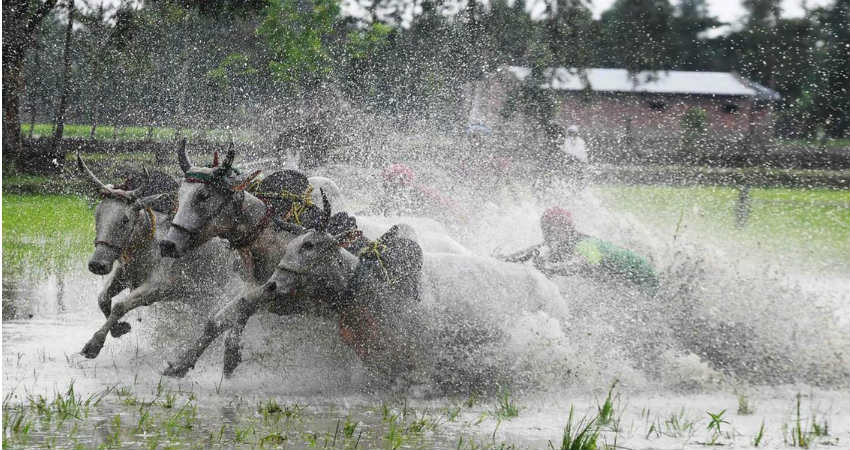 Monsoon and farmers in India