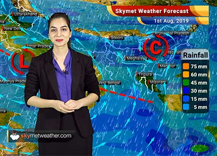 Weather Forecast Aug 1: Rain in Mumbai, Jaipur, Alwar, Delhi, Sagar