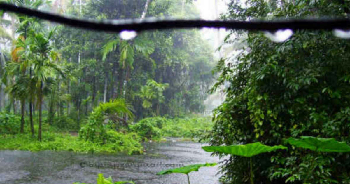 Rain in Kerala