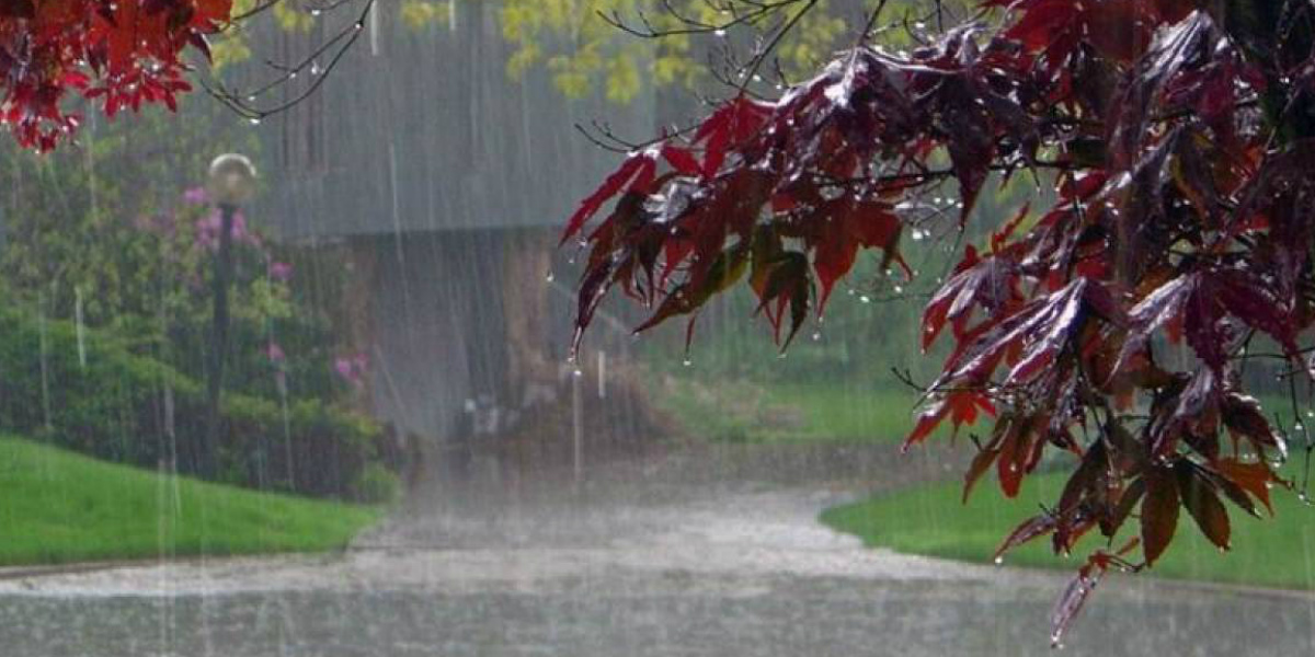 Rain in Kerala