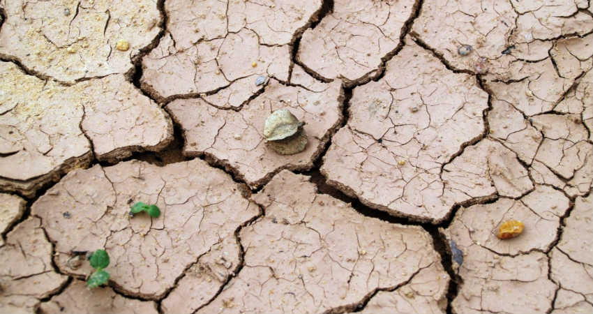 Climate Change and Food Security