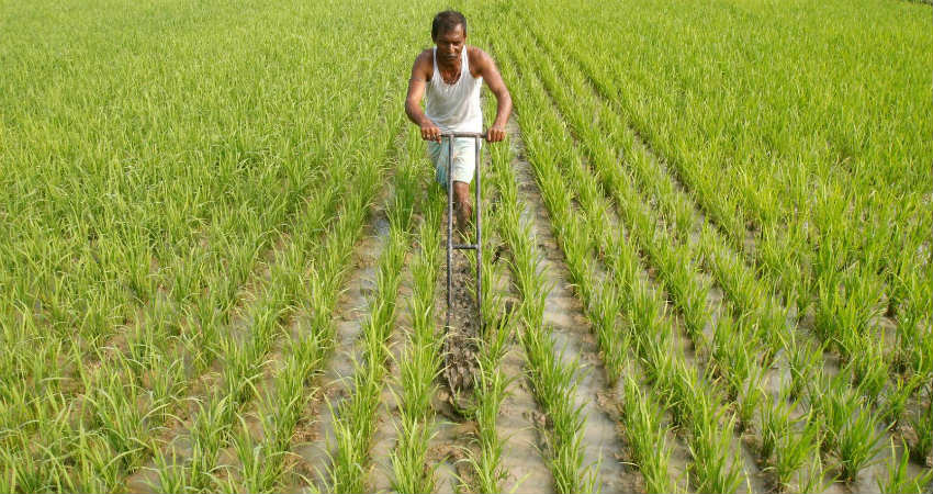 Farmers In India