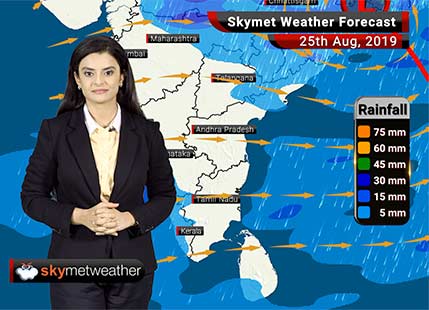 Weather Forecast Aug 25: Heavy Rains in Ujjain, Indore, Ambikapur, Sundergarh, Sambalpur, Bilaspur