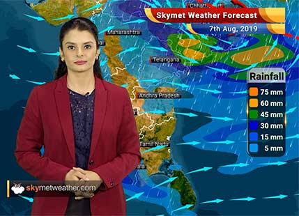 Weather Forecast Aug 7: Hefty flooding rains to lash Bhopal, Indore, Jagdalpur, Betul and Odisha
