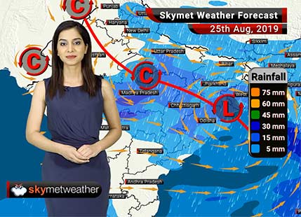 Weather Forecast Aug 25: Rains to lash Himachal Pradesh, Uttarakhand, Uttar Pradesh and Madhya Pradesh