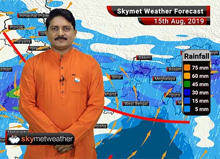 Weather Forecast Aug 15: Bhopal, Ujjain, Kota and Jaipur will be the rainiest spot on this Independence day