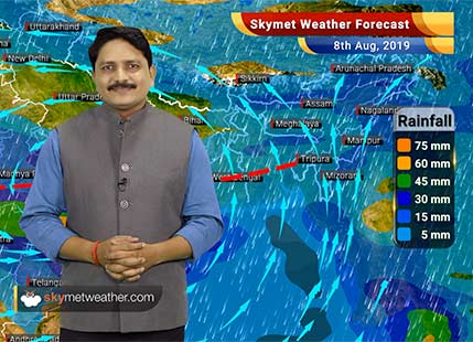 Weather Forecast Aug 8: Heavy rain in Madhya Pradesh, Vidarbha, Goa, Himachal, Uttarakhand, Delhi to be dry
