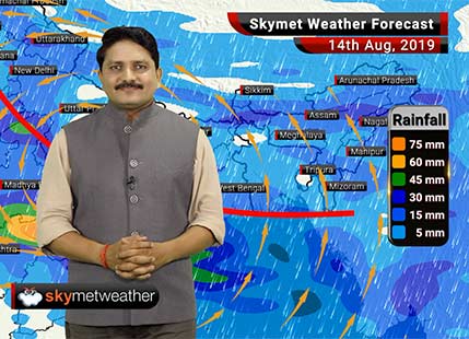 Weather Forecast Aug 14: Heavy rain in Madhya Pradesh, East Rajasthan, Kerala while light in Mumbai, Delhi and Kolkata