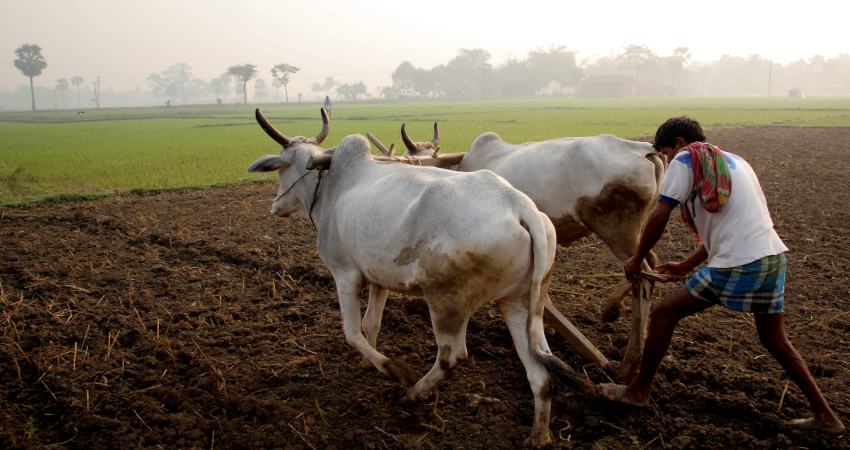 bihar weekly weather forecast