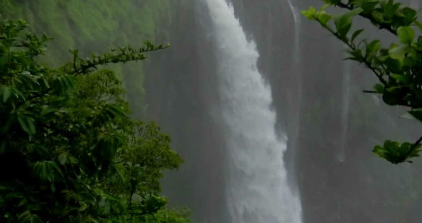 Rain in Mahabaleshwar