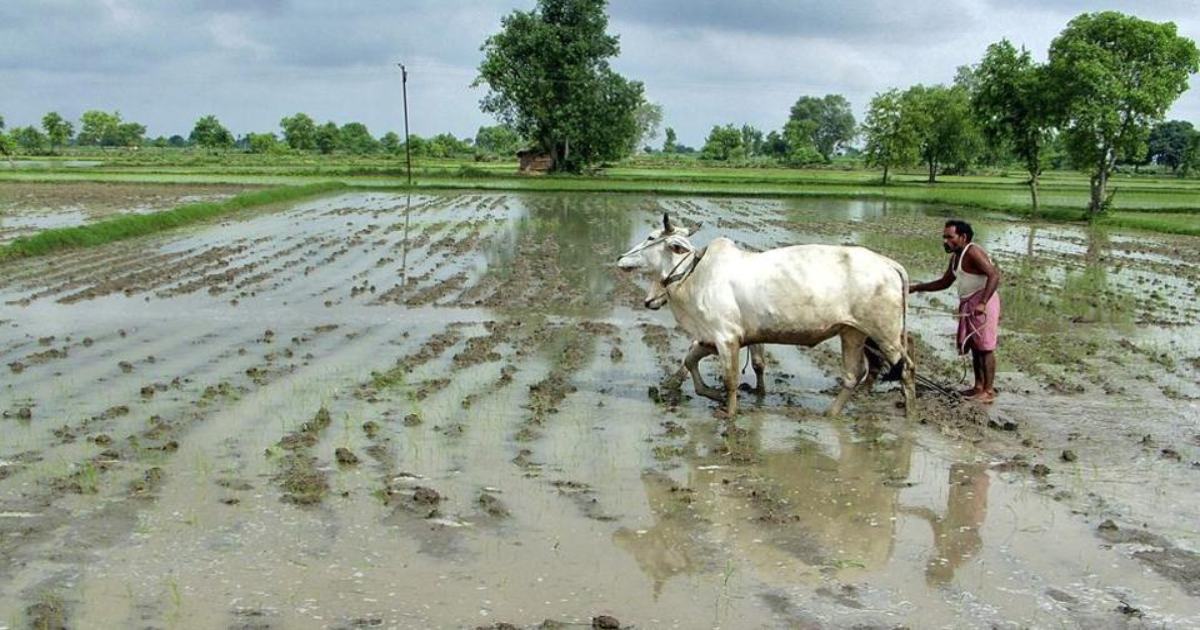 Rajasthan weekly weather forecast