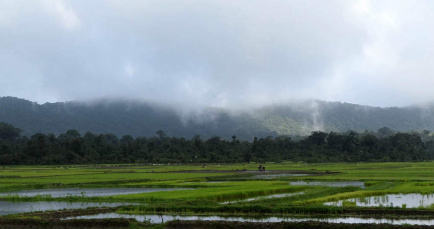 Rain in Karnataka