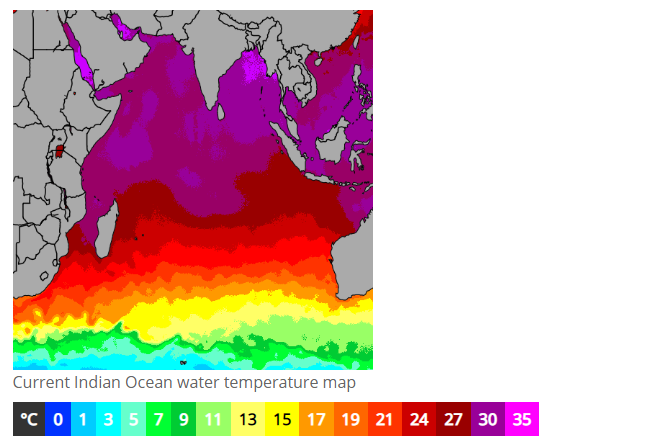 SST in Arabian Sea