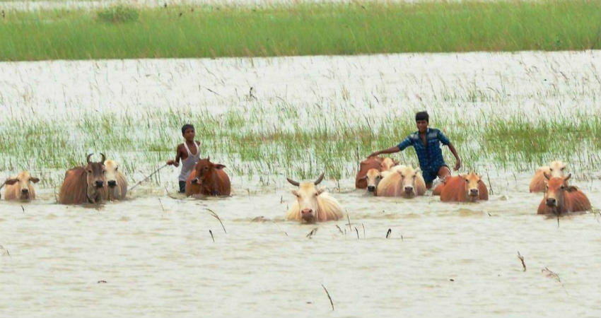 Southwest Monsoon Rains 2019