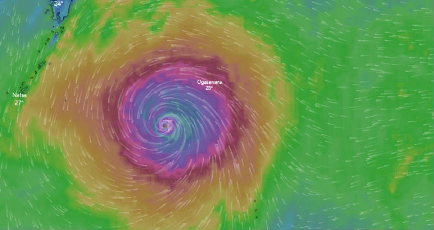 Typhoon Hagibis