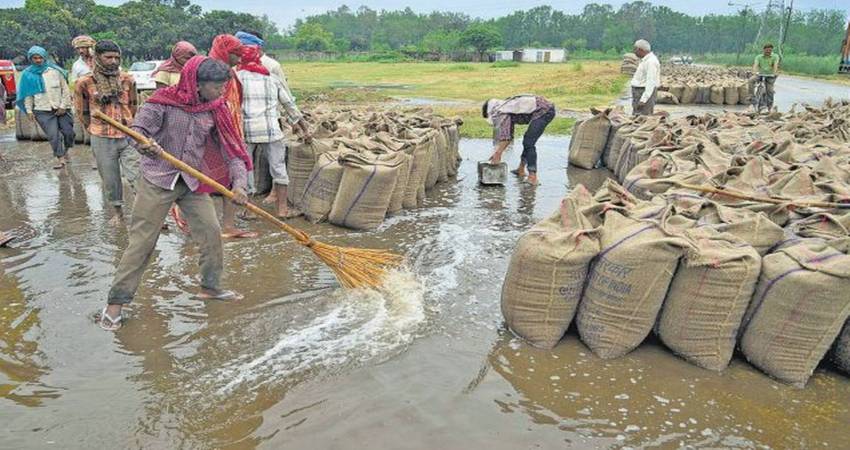 Punjab rain 