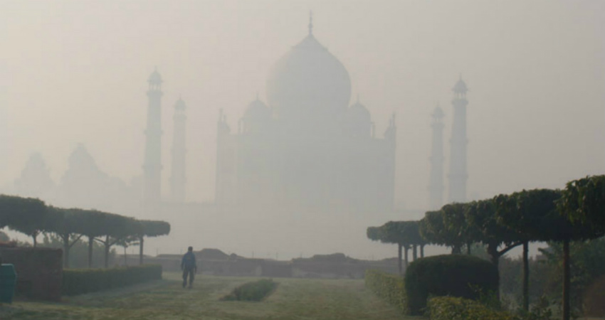 Agra Fog