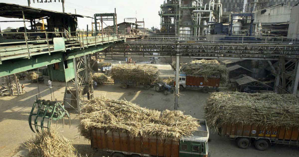 Sugar Mills production