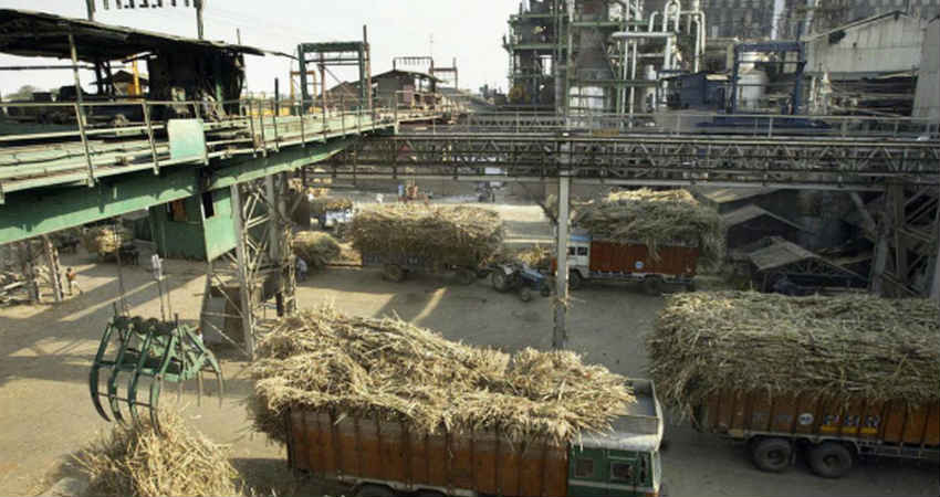 Sugar Mills production