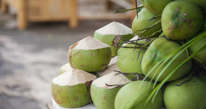 Coconut Production in India