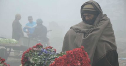 Northwest India winters