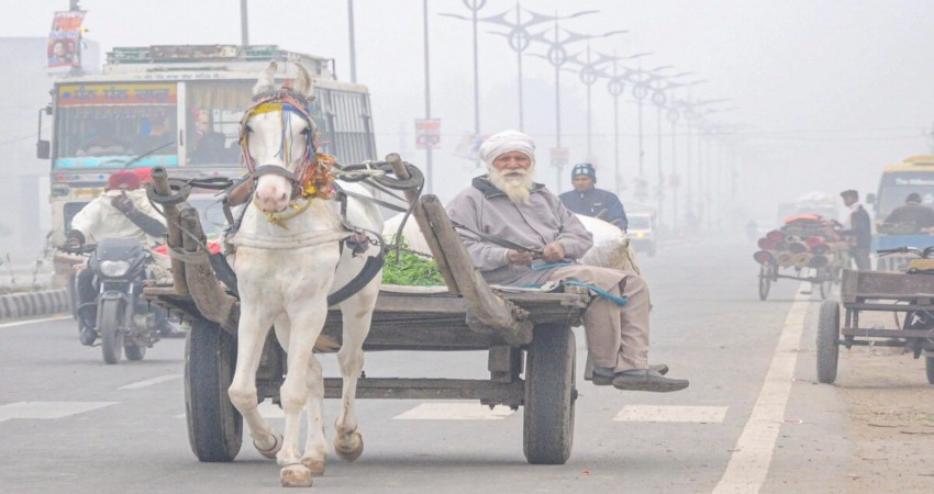 Punjab winter