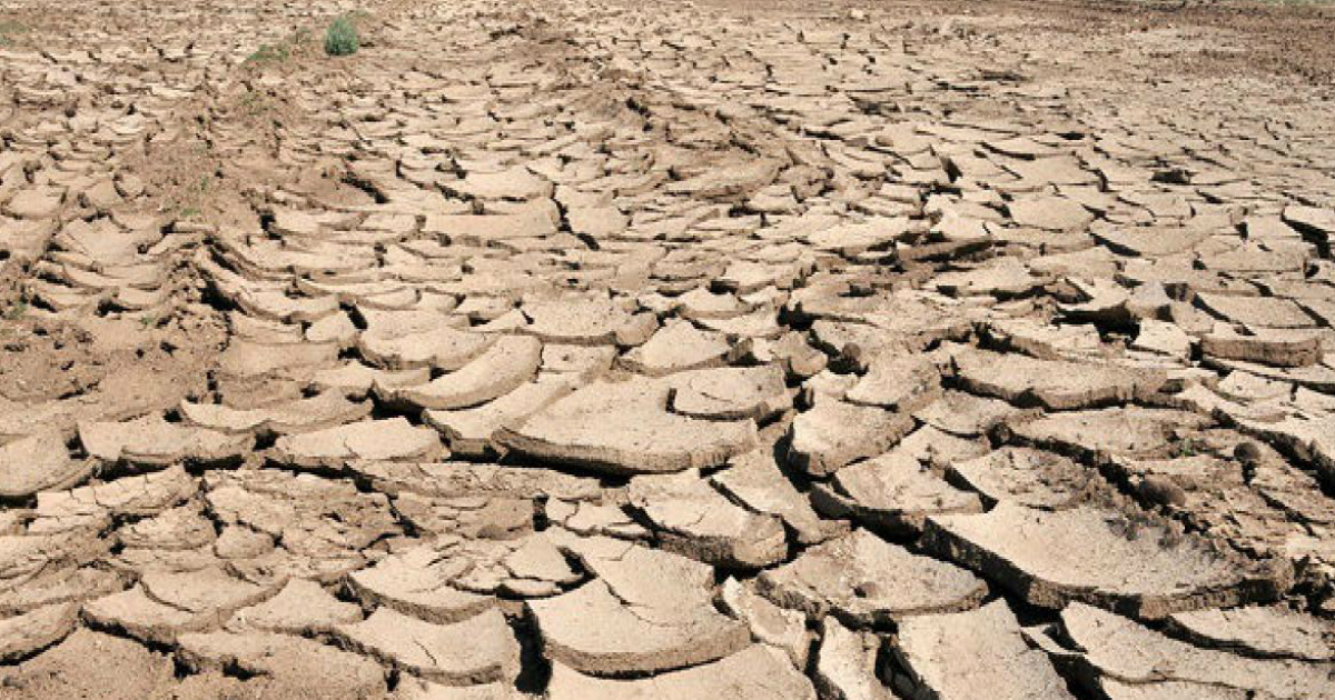 land degradation leading to climate change