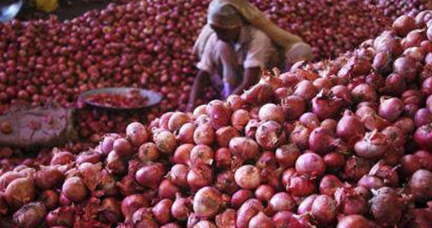 onion price 