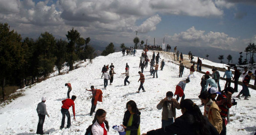 shimla snowfall 