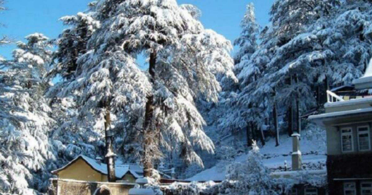 Kashmir Snow