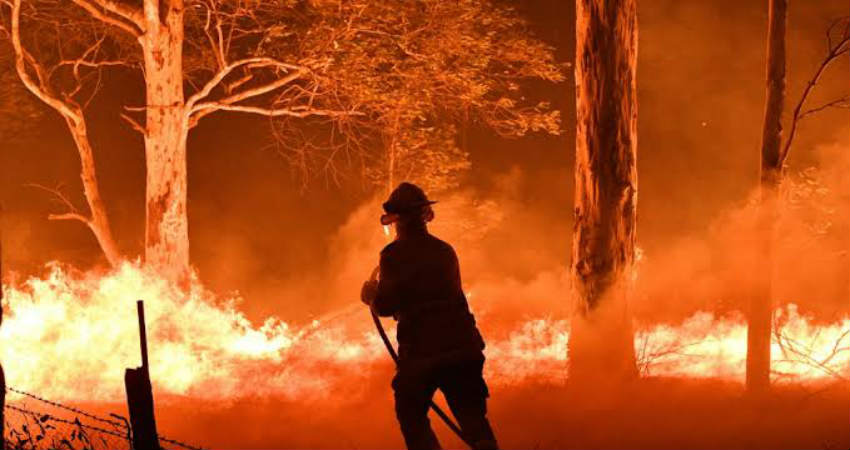 Australia Bushfires