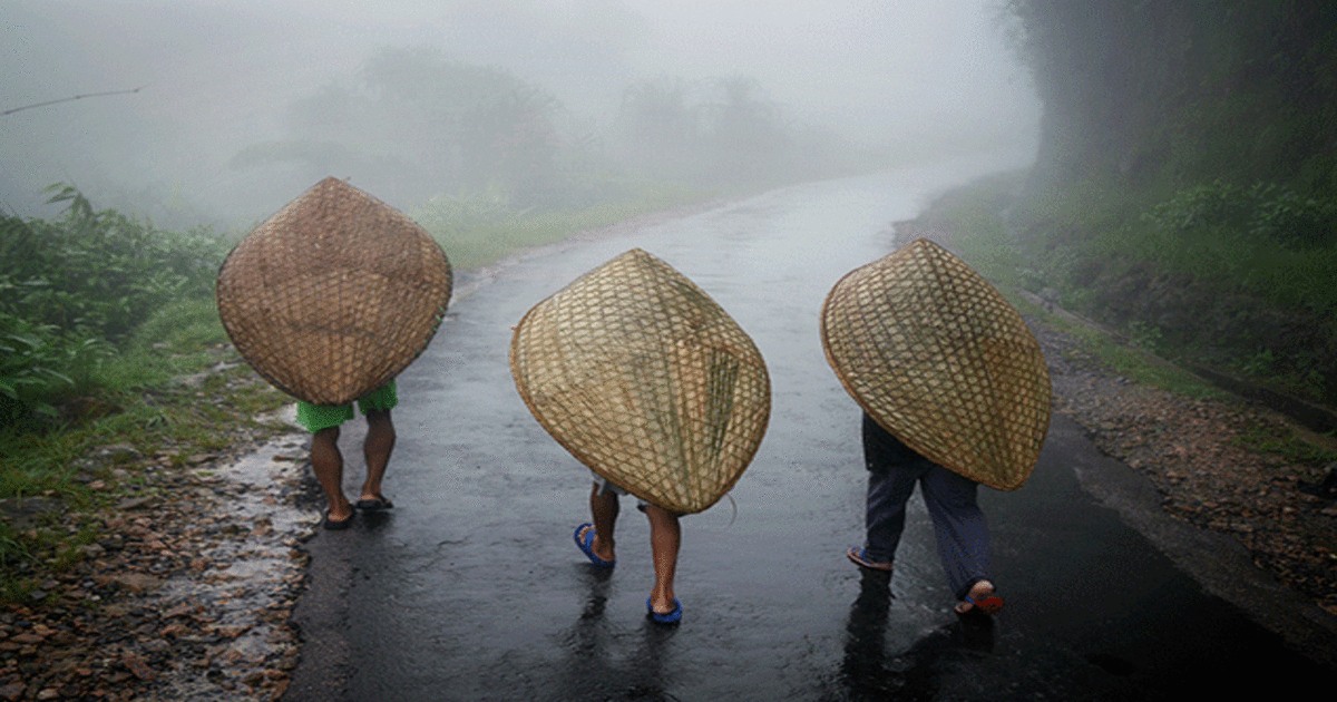 Meghalaya rain