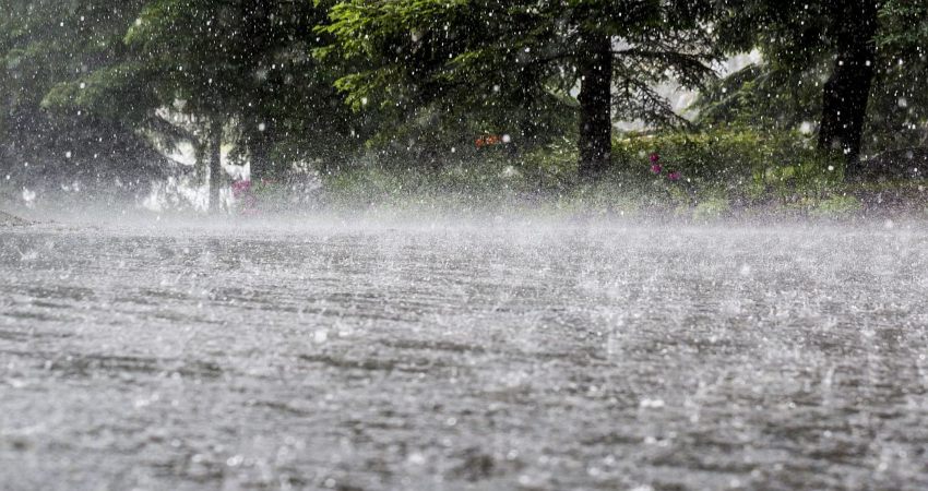 Northeast India rains