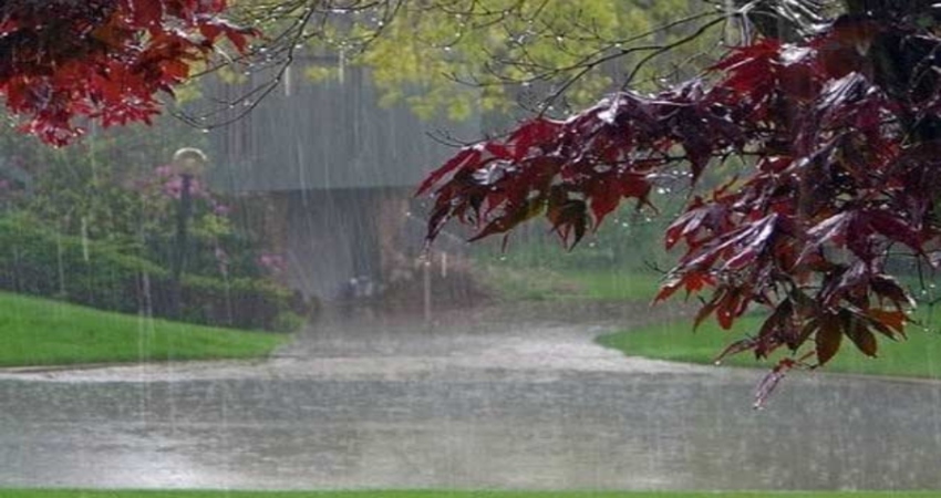 Rain in northern plains