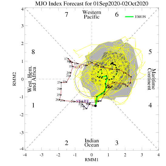 MJO SEP