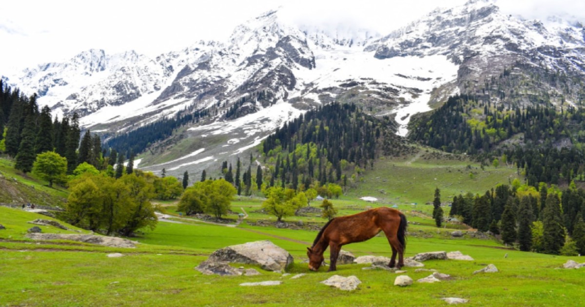 Snow in Kashmir