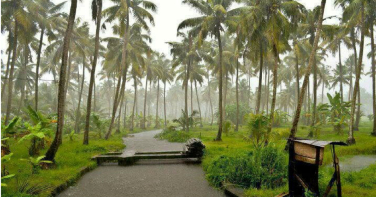 Rain in Kerala