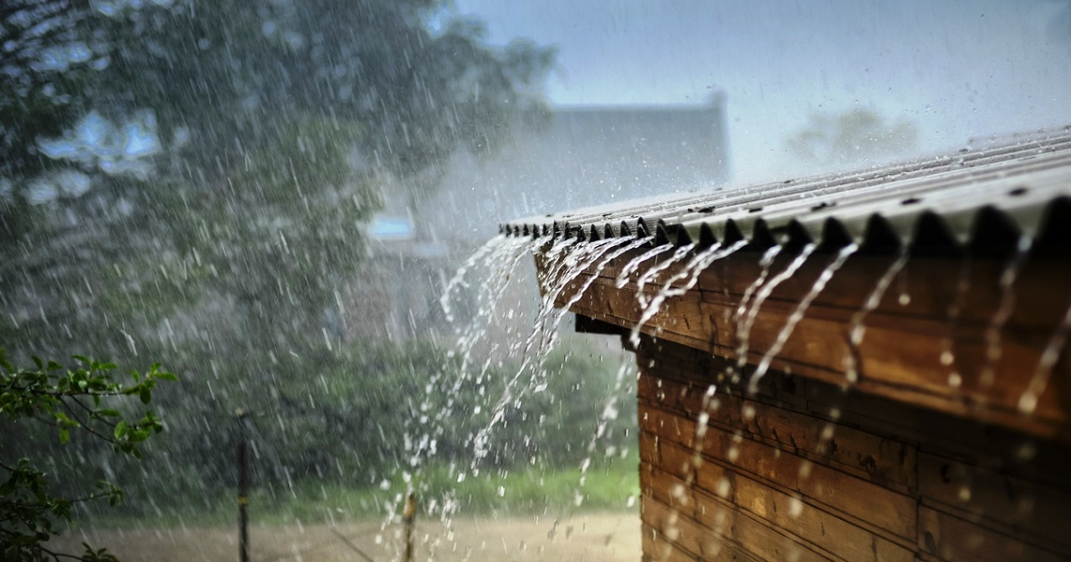 Rain in Punjab