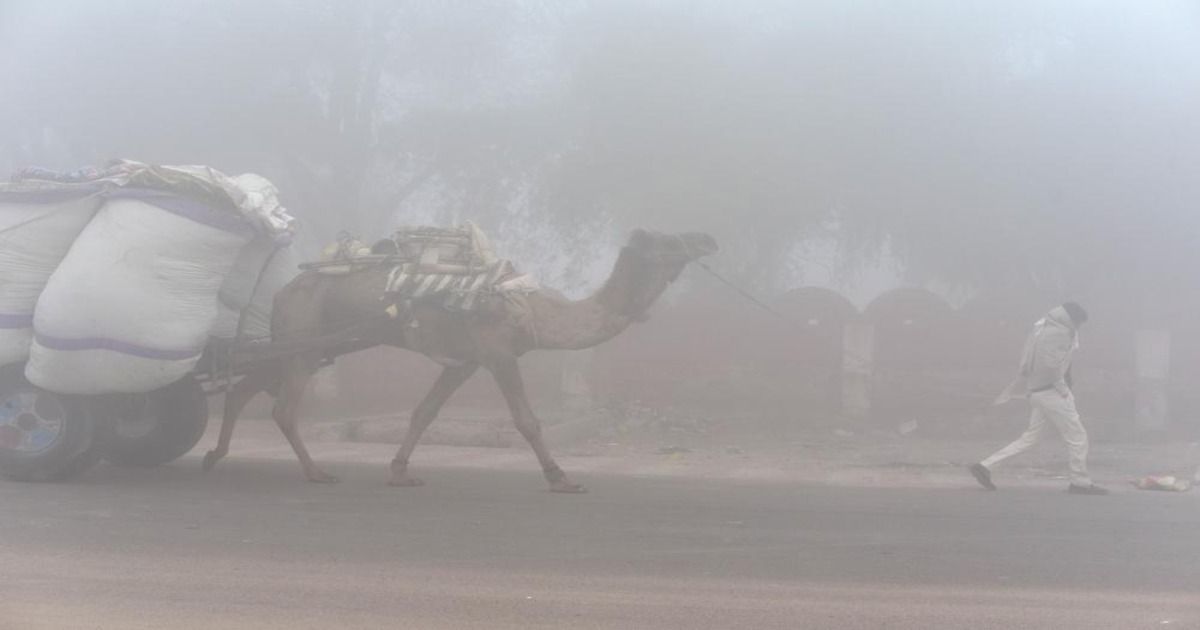 Extreme Cold Wave Conditions In Rajasthan