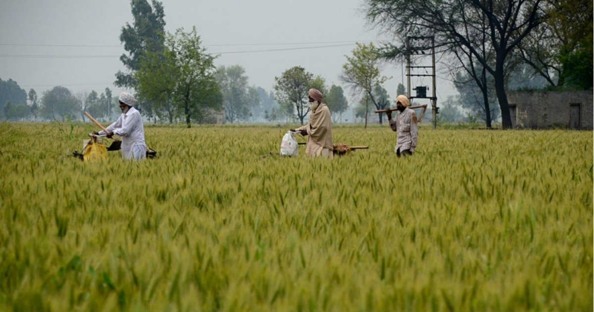 Haryana Weather