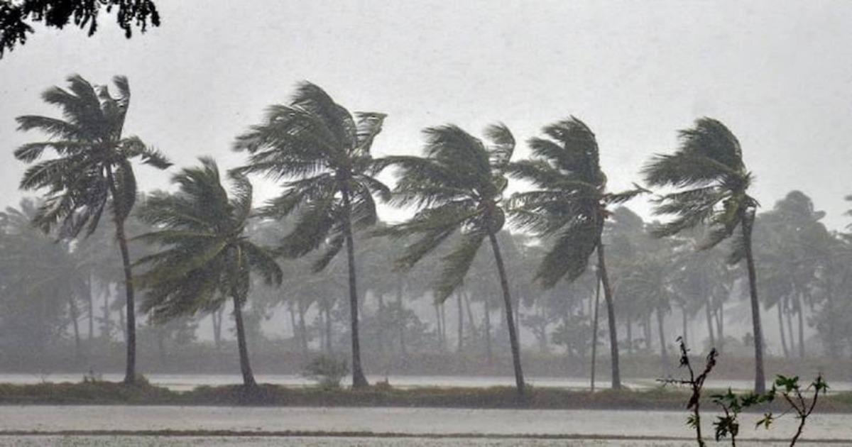 Kerala Monsoon