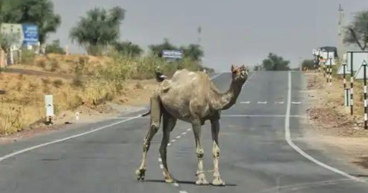 hot weather in Rajasthan